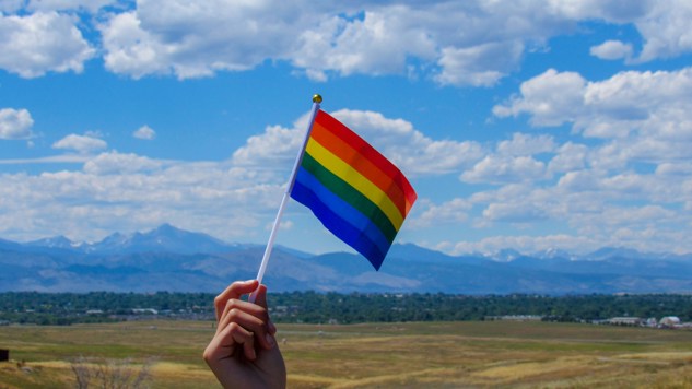 A pride-flag.