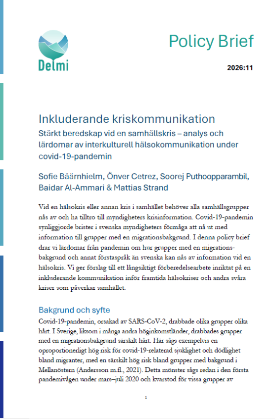 Omslagsbilden på publikationen